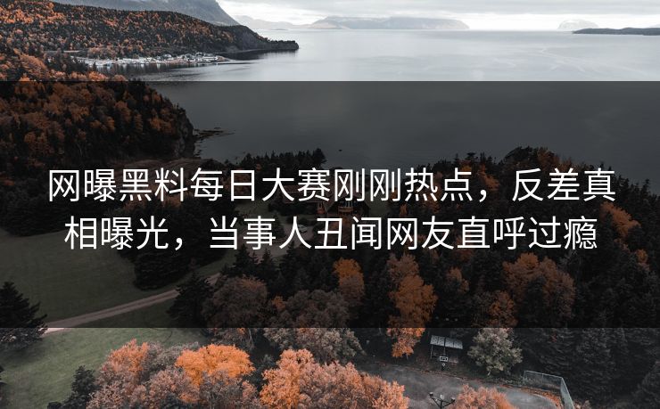 网曝黑料每日大赛刚刚热点，反差真相曝光，当事人丑闻网友直呼过瘾