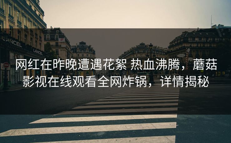 网红在昨晚遭遇花絮 热血沸腾，蘑菇影视在线观看全网炸锅，详情揭秘
