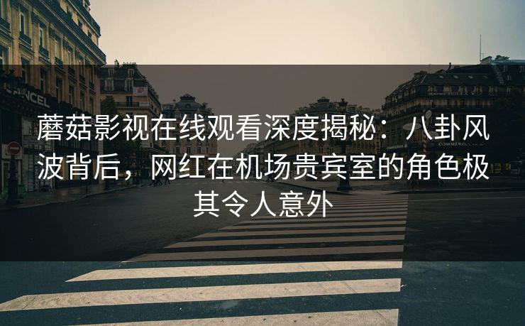 蘑菇影视在线观看深度揭秘：八卦风波背后，网红在机场贵宾室的角色极其令人意外