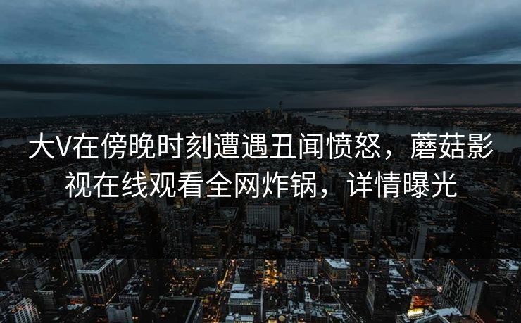 大V在傍晚时刻遭遇丑闻愤怒，蘑菇影视在线观看全网炸锅，详情曝光