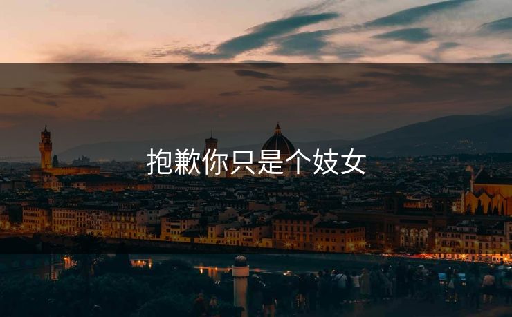 抱歉你只是个妓女